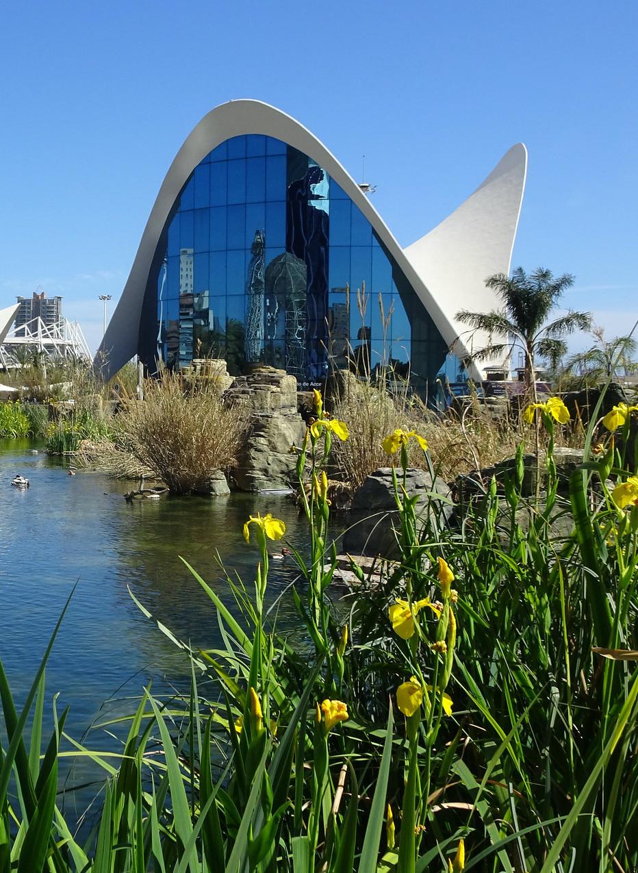 Oceanogràfic Valencia