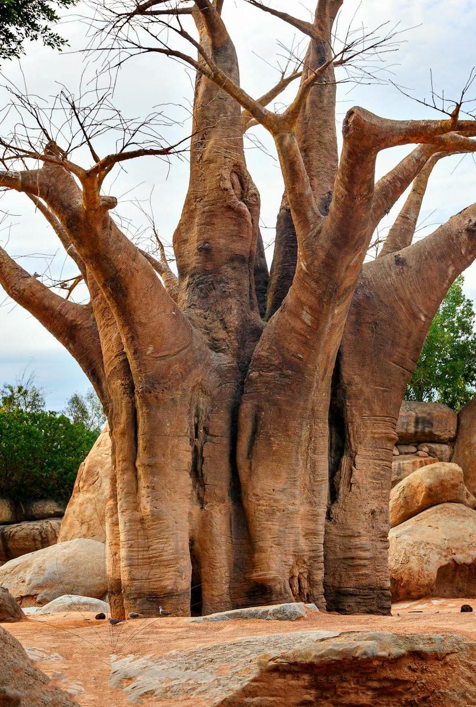 Naturschutzgebiete