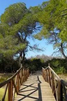 Naturpark Albufera